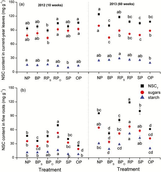 Contents of soluble sugars, starch, and total non-structural carbohydrates (NSCT, equal to soluble sugars + starch) per unit dry mass in current-year leaves (a) and fine roots (b) of C. lanceolata in each treatment as defined in Fig. 1 at 10 weeks and 60 weeks after first pruning. Data are means (±SE), n=4. Different letters indicate significant differences among the pruning treatments according to Tukey’s tests (P<0.05).