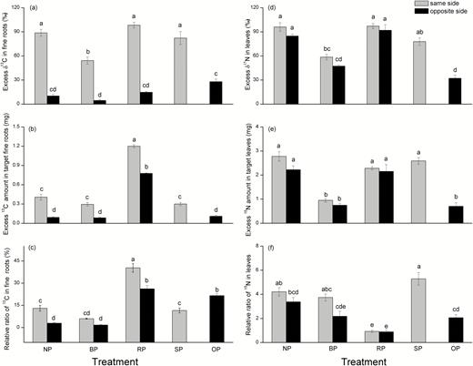(a) Excess δ13C and (b) excess 13C in sampled (target) fine roots, and (c) relative ratio of excess 13C in fine roots (excess 13C in sampled fine roots/excess 13C in the labelled current-year leaves), (d) excess δ15N and (e) excess 15N in sampled current-year leaves, and (f) relative ratio of excess 15N in current-year leaves (excess 15N in sampled current-year leaves/excess 15N in the labelled fine roots) for samples from C. lanceolata taken from either the same or opposite side of the plant relative to the pruning treatment as defined in Fig. 1; isotope labelling was applied at 15 weeks after pruning and samples were taken 72 h after labelling. Data are means (±SE), n=3.