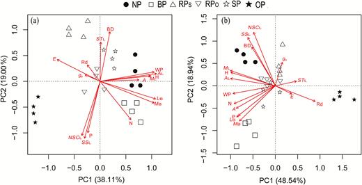 Principal component analysis (PCA) based on eco-physiological shoot traits in each pruning treatment as defined in Fig. 1. at (a) 10 weeks and (b) 60 weeks after pruning. BD, stem basal diameter increment per week; H, stem height increment per week; MB, dry mass per branch; LB, length per branch; ML, dry mass per leaf; AL, area per leaf; A, photosynthetic rate; gs, stomatal conductance; Rd, dark respiration rate of leaf; E, transpiration rate; N, leaf nitogen concentration; P, leaf phosphorus concentration; SSL, leaf soluble sugar concentration; STL, leaf starch concentration; NSCL, leaf non-structural carbohydrate concentration; WP, leaf water potential.