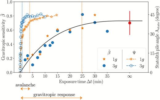 Comparison between the avalanche dynamics of the wheat coleoptile statoliths (open symbols) and the gravitropic response to transient inclinations (closed symbols), showing that the avalanche is much too rapid to explain the increase of the response with ∆t.