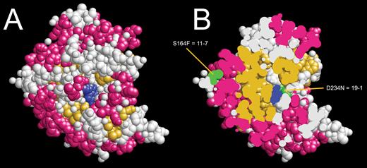 (A) Predicted protein structure of anthocyanidin synthase 2BRT closely related to GA2OXA13. (B) Protein section showing the position of S164F mutation in mutant 11-7 near the surface. (This figure is available in color at JXB online.)