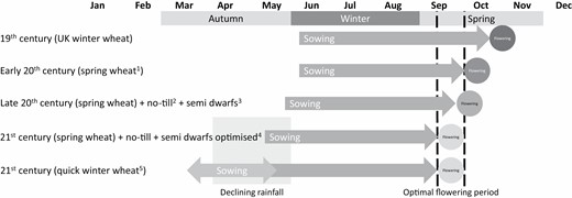 A schematic diagram illustrating how advances in agronomic practice (both management and genetic) have better aligned wheat crop development with seasonal conditions. aPugsley (1983); bStephens and Lyons (1998), cAnderson and Smith (1990); dFlohr et al. (2018c); eHunt et al. (2019b).