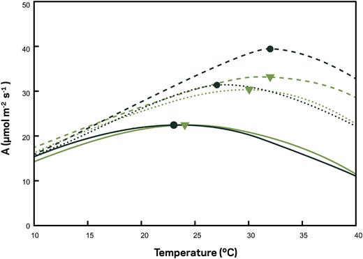 Temperature response of C3 leaf photosynthesis (μmol m–2 s–1) modelled at atmospheric [CO2] of 400 (solid lines), 600 (dotted lined), and 800 (dashed lines) μmol mol-–1. Model parameters were taken from Bernacchi et al. (2001, 2003, black circles) and Long (1991, green triangles), with the symbol location on the curve representing the temperature optimum for each photosynthetic response curve. The figure has been redrawn from Bagley et al. (2015), with permission.