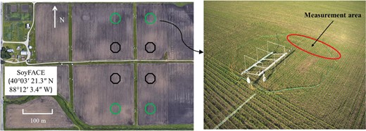 Experimental setup and the image of an elevated O3 plot at the SoyFACE facility. Soybean was grown at 100 ppb O3 in the elevated O3 plots. Green octagons represent elevated O3 plots and black octagons represent ambient O3 plots. A retractable awning is located inside the plot and is released to capture rainfall. Measurements in this study were conducted at the open area inside the ring indicated by the red circle.