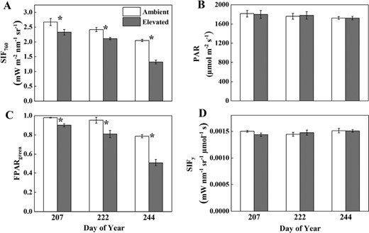 Observed top of canopy SIF760 (A), PAR (B), FPARgreen (C), and apparent SIFy (D) measured throughout the growing season in soybean grown in ambient O3 (white bars) and elevated O3 (grey bars). Each bar represents the least squared mean, and the error bars are ±SE of the difference in least square means. The measurement date is indicated on the x-axis as day of year (DOY). *Significant differences between treatments at each measuring date (P<0.05).