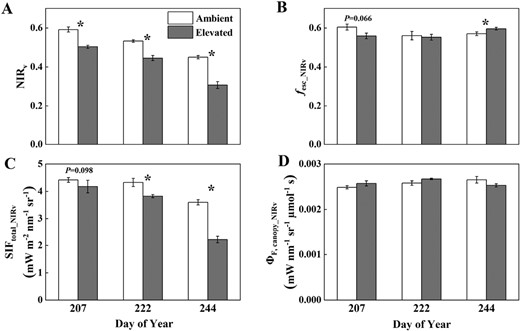 Canopy NIRv (A), fesc_NIRv (B), SIFtotal_NIRv (C), and ΦF,canopy_NIRv (D) measured or estimated throughout the growing season in soybean grown in ambient O3 (white bars) and elevated O3 (grey bars). Each bar represents the least squared mean, and the error bars are ±SE of the difference in least square means. The date of measurement is indicated on the x-axis as day of year (DOY). *Significant differences between treatments at each measuring date (P<0.05).