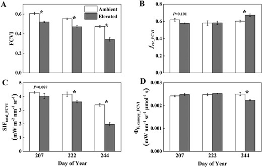 Canopy FCVI (A), fesc_FCVI (B), SIFtotal_FCVI (C), and ΦF,canopy_FCVI (D) measured or estimated throughout the growing season in soybean grown in ambient O3 (white bars) and elevated O3 (grey bars). Each bar represents the least squared mean, and the error bars are ±SE of the difference in least square means. The date of measurement is indicated on the x-axis as day of year (DOY). *Significant differences between treatments at each measuring date (P<0.05).