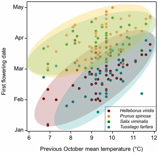 Autumn vernalization found in winter annual Brassicas is shared with perennial species native to the UK. Data show the relationship between autumn warming and spring flowering delay in two herbaceous perennials (Helleborus and Tussilago) and two woody perennials (Salix and Prunus). Data re-analysed from Fitter et al. (1995).