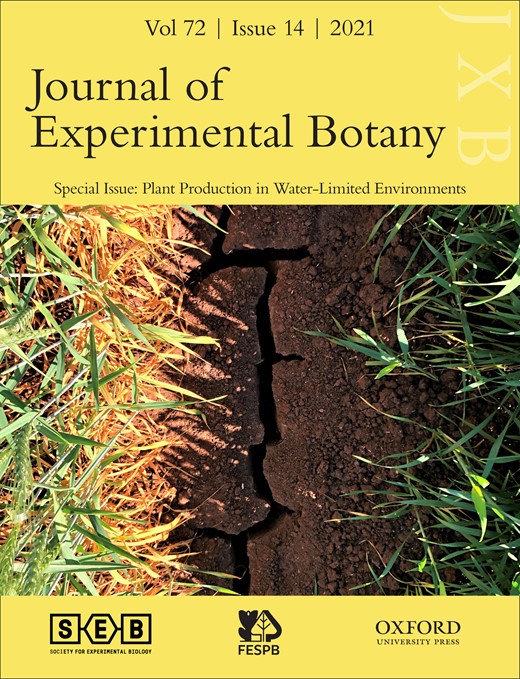 Journal of Experimental Botany Cover Image for Volume 72, Issue 14