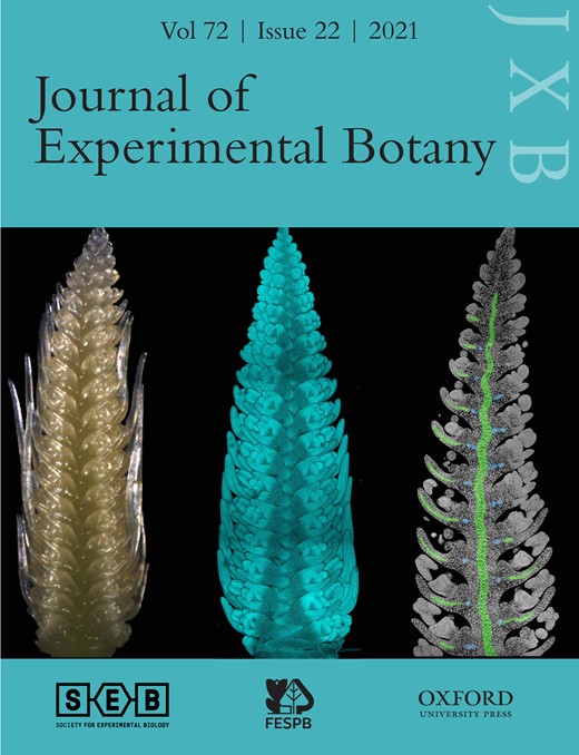 Journal of Experimental Botany Cover Image for Volume 72, Issue 22