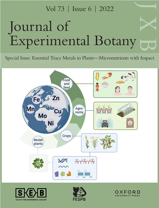 Journal of Experimental Botany Cover Image for Volume 73, Issue 6