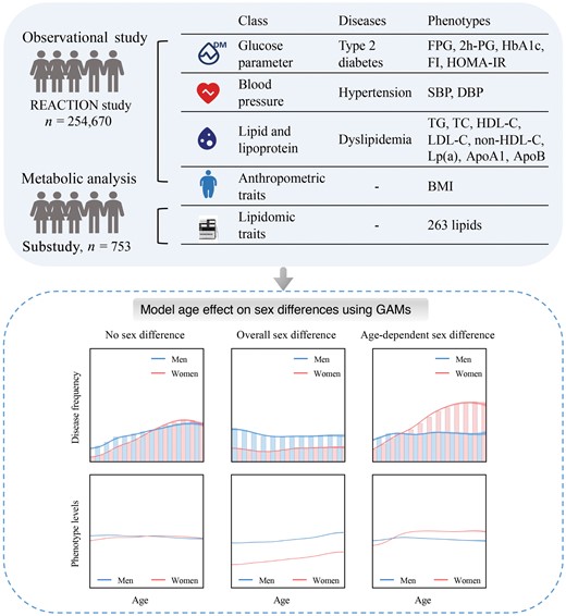 Overview of the REACTION study. In the Risk Evaluation of Cancers in Chinese Diabetic Individuals: a Longitudinal (REACTION) Study, 254,670 adults aged 40−80 years were recruited from resident registration systems from 25 communities across Chinese mainland during 2011−2012, including 166,650 women and 88,020 men. The study collected a total of 16 phenotypic parameters through clinical measurements: FPG, 2h-PG, HbA1c, fasting insulin, HOMA-IR, SBP, DBP, TG, TC, HDL-C, LDL-C, non-HDL-C, LP(a), ApoA1, ApoB, and BMI. Summary statistics for all factors are shown in Supplementary Table S1. GAMs, generalized additive models.