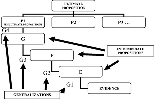 Scheme used in Wigmorean methodology.