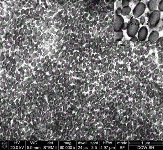 STEM images of the two-stage latex collected from sections of frozen sample.