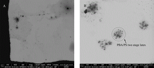 STEM images of the two-stage latex dispersed in water by dripping the sample on the copper grid covered with a carbon film: (A) overview image and (B) high magnification image.