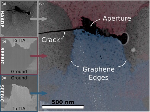 Example of how simultaneous HAADF/SEEBIC imaging can help understand device failure. (a) Grayscale HAADF-STEM image, (b) SEEBIC image of the top half of the device, (c) SEEBIC image of the bottom half of the device, and (d) false-colored composite image showing how the conductive graphene aligns with the substrate damage, providing evidence for graphene edge-associated damage at high current densities. 512 × 512 pixel images acquired at 200 kV, approximately 600 pA beam current, and 0.3 ms dwell time.