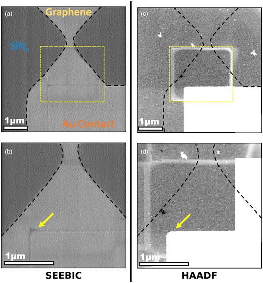 Example of SEEBIC being used to confirm that contamination is not in contact with the graphene. 300 × 300 pixel images acquired at 60 kV, 49 pA beam current, and 2 ms dwell time. (a) SEEBIC image of graphene device on SiNx and (b) higher magnification SEEBIC image. (c,d) HAADF-STEM images, where contamination on the backside of the device is clearly visible, does not appear in the SEEBIC images.
