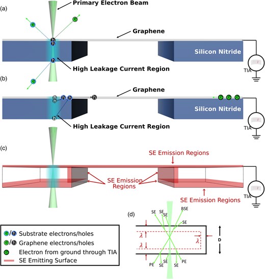 Schematic showing how an insulating substrate with a conductive layer on one side, such as graphene, can contribute to the SEEBIC signal through localized charge transport. (a) Primary beam-emitting SEs from both graphene and the substrate. This generates holes that are replenished by electrons from ground through the TIA. (b) Migration of charge resulting in a measured current through the TIA. (c) Schematic showing SE-emitting regions of the device in red, which occur primarily at sample surfaces. (d) Schematic showing SE emission as a function of both primary electrons and backscattered electrons from within the distance, λ.