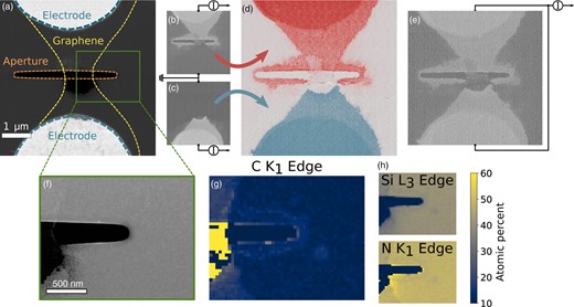 SEEBIC diagnosis of device failure. Images acquired at 60 kV and 58 pA beam current. (a) HAADF-STEM image of the device with various features labeled. (b,c) 300 × 300 pixel SEEBIC images acquired with the TIA connected to the top side of the device, while the other is grounded, (b), and vice versa, (c). Pixel dwell time was 2 ms. (d) Artificially colored composite of (b,c). (e) Both sides connected to the TIA showing that the central portion of graphene device is no longer electrically connected. (f) HAADF-STEM image of the EELS acquisition location. (g) Relative quantification of the EELS C–K core loss edge. Color corresponds to atomic percent relative to the Si and N EELS edges. The C track around the edge of the aperture is clearly visible. (h) Corresponding quantifications of the Si-L2,3 and N–K EELS core loss edges. The color bar corresponds to all three EELS images.