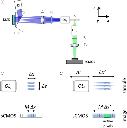 (a) Experimental setup: the light emitted from an LED is projected by a Köhler Illuminator (KI) to a Digital Micromirror Device (DMD) using a Total Internal Reflection Prism (TIRP). The light reflected by the DMD is collected by the lens L1, filtered by the illumination filter Fi and imaged on the sample (S) by the objective lens (OLi). The fluorescence emitted by the illuminated volume is collected by the detection objective (OLd) and the tube lens (TL), filtered by the emission filter Fd, forming an image at the camera (sCMOS). (b) The pattern remains in focus for a distance Δx. (c) The illuminations lens (OLi) is moved along the distance ΔL in order to scan the pattern on the sample for a distance Δx. The acquisition with the rolling shutter of the sCMOS camera is synchronized with the motion of the lens OLi, sequentially activating the pixels that correspond to the focus position of the pattern.