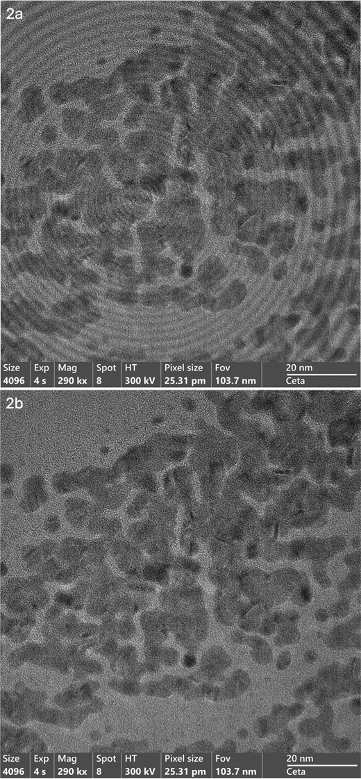 Experimental variation of contrast in CTEM imaging with FFIM mode Off (2a) and On (2b). Note the reduction of the superimposed Fresnel illumination contrast and the negligible effect on the local image contrast. Eo: 300 kV, io ∼ 100 pA , C2 aperture 100 um, Magnifications as indicated.