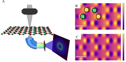 (A) Conceptual setup for collecting energy-filtered 4D-STEM data. Simulated (B) elastic and (C) inelastic CoM-x images of a monolayer of boron nitride assuming 300 keV electron and a probe-forming aperture semiangle of 15.7 mrad, and (C) further assumes an energy filter 10 eV above the boron K-edge. Despite element-specific energy filtering, both images show contrast on all columns.