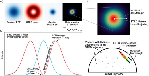 Advancing Super-Resolution Microscopy: Recent Innovations in Commercial ...