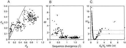 Fig. 2.—Pairwise comparison of sperm lysin genes from 25 abalone species. A, Estimates of dS and dN using ML (Goldman and Yang 1994 ). B, The ω ratio (dN/dS) plotted against the estimated sequence divergence t, defined as the expected number of nucleotide substitutions per codon. C, The LRT statistic Δℓ = ℓ1 − ℓ0, where ℓ0 and ℓ1 are the likelihood values with and without the constraint ω = 1, respectively. 2Δℓ can be compared with χ2 with df = 1 to test the null hypothesis ω = 1. The 95% and 99% critical values, ½χ2 = 1.92 and 3.32, are indicated on the graph. In the comparisons between Haliotis discus hannai and Haliotis gigantea and between Haliotis rubra and Haliotis conicopora, no synonymous difference was found, and ω is set to 10 in the plots