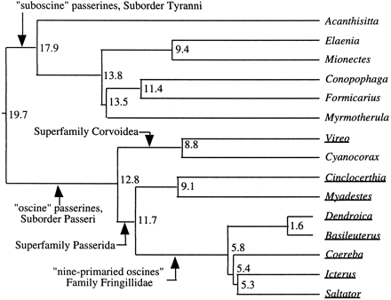 Fig. 1.—DNA-DNA hybridization–based hypothesis of relationship for the 15 passerine genera included in the present survey of c-mos variation (Sibley and Ahlquist 1990 ). Numbers adjacent to nodes indicate delta T50H values from Sibley and Ahlquist's (1990) unweighted pair grouping method with arithmetic means (UPGMA) reconstruction. Relationships of two genera (Cinclocerthia and Saltator) not included in that study are estimated from placement of closely allied genera (Toxostoma and Cardinalis, respectively). Underlined genus names indicate samples included in our mtDNA-versus-c-mos comparisons. Arrows and associated labels at internal internodes indicate some higher taxonomic categories (sensuSibley and Ahlquist 1990 ) referred to in the text