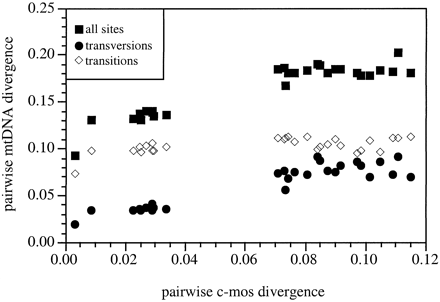 Fig. 5.—Pairwise mitochondrial distances plotted against corresponding pairwise c-mos differentiation. c-mos distances were estimated using the gamma-corrected Hasegawa-Kishino-Yano (HKY; Hasegawa, Kishino, and Yano 1985 ) metric. Uncorrected mitochondrial distances were based on 2,506 nucleotide sequences from the ATPase 6, ATPase 8, cytochrome oxidase I, and NADH dehydrogenase subunit II genes