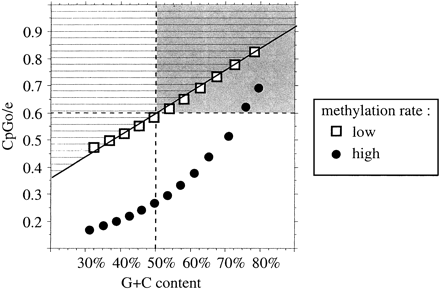 Fig. 2.—Correlation between G+C content and the observed/expected CpG dinucleotide ratio predicted by our model for different rates of CpG methylation: a high rate (κ1 = 27.6, circles) and a low rate (κ1 = 8.0, squares). The regression line for the low rate of methylation is indicated (R2 = 0.997). The area above the regression line (hatched) corresponds to undermethylated sequences. The gray rectangle corresponds to sequences that would be predicted to be unmethylated CpG islands according to the criteria classically used in the literature (Gardiner-Garden and Frommer 1987 )
