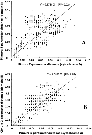 Fig. 4.—Pairwise distances calculated from control region sequences (domain II: A; domain III: B) plotted against pairwise distances calculated from cytochrome b sequences for all comparisons between the 32 gull species. Regression lines are forced to intercept at 0