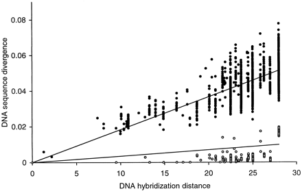 Fig. 2.—Correlation between DNA sequence divergence (this study) and DNA hybridization distances (Sibley and Ahlquist 1990 ) for multiple pairwise comparisons. For DNA sequence divergence, closed circles indicate mitochondrial data (Kimura transversion distance; r = 0.84), and open circles indicate nuclear rRNA data (Jukes-Cantor distance; r = 0.43). The DNA hybridization distances were calculated by averaging the ΔT50H values in Sibley and Ahlquist (1990). A similar correlation has been obtained for a smaller avian data set (Hedges and Sibley 1994 )