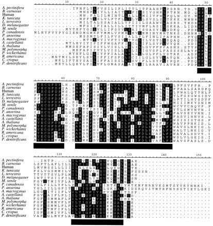 Fig. 1.—Alignment of ND3 sequences from several eukaryotes and a bacterial outgroup with the blocks selected by the Gblocks program with default parameters underlined. Positions at which more than 50% of the residues are identical and have no gaps are shaded.