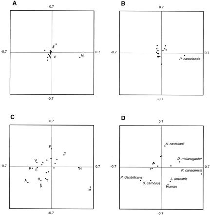 Fig. 3.—Representation on the first two principal axes obtained in a correspondence analysis of the amino acid frequencies in the blocks selected by Gblocks (A and B) and in the rejected ones (C and D) in 10 concatenated mitochondrial proteins. Amino acids (A and C) and species (B and D) are represented in different plots. In the blocks selected by Gblocks (A and B), the axes represent 47% and 23% of the total inertia, respectively. In the analysis of the rejected blocks (C and D), the axes represent 41% and 22% of the total inertia, respectively. Only names outside an arbitrary central circle are given for simplicity