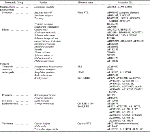 Table 3 Novel Representatives of the RTE Clade