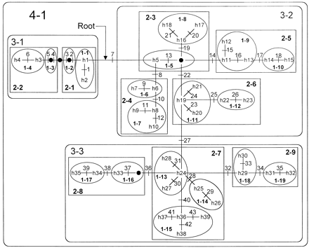 Fig. 3.—Nested cladistic design for 39 NRY haplotypes. The 43 mutational events listed in table 1 are shown by cross-hatches. Haplotypes h1–h39 are named as shown in table 1 . The root of the cladogram is denoted by an arrow. Filled circles represent haplotypes that were missing in this sample of Y chromosomes. Ovals contain one-step clades which are designated 1-1 through 1-19. Rectangles contain two-step clades which are designated 2-1 through 2-9. Rounded rectangles contain three-step clades which are designated 3-1 through 3-3. A single four-step clade (4-1) encompasses the entire cladogram