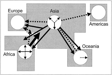 Fig. 4.—Inferences from nested cladistic analysis of Y-chromosome data. Intercontinental signals are indicated by arrows between continent ideograms (note: arrows are not meant to indicate routes of migration), and intracontinental signals are shown by arrows within circles (empty circles for Europe and the Americas denote the absence of intracontinental signals). Solid arrows represent population history events (contiguous range expansions and long-distance colonizations), while population structure processes (recurrent gene flow restricted by isolation by distance and long-distance dispersals) are indicated with dashed arrows (and, in one instance, a dashed line between Asia and Oceania where no polarity could be inferred). The widest solid arrow denotes early range expansion out of Africa at the level of the total cladogram