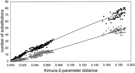Fig. 1.—Apparent number of transitions (filled circles) and transversions (empty circles) plotted against corrected (Kimura two-parameter) pairwise sequence difference for the mtDNA intergenic region (nonrepeat regions only)