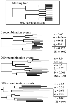 Fig. 2.—The starting tree and some examples of estimated maximum-likelihood trees at various levels of recombination for the simulation study summarized in table 1 . The branch lengths on all trees are drawn to the same scale. The trees below the starting tree are those estimated for one randomly chosen representative of the original 100 replicates over various levels of recombination. As the number of recombination events increased, the trees became more starlike. After 500 recombination events, the starting topology was no longer obtained, and the estimated tree was dominated by long terminal branches. Although there was no ARH in the clonal data set, the ARH increased with recombination rate, as did the disparity between q and q̂c