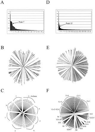 Fig. 2.—Dissimilarity value curves and phylogenetic trees before and after collapse of the Sm protein family (A, B, and C) and of the nuclear receptor family (D, E, and F). Sm subtypes are numbered from 1 to 7: subtype 1—SmB and SmN; subtype 2—SmD1 and Lsm2; subtype 3—SmD2, Lsm3, and archaeal proteins; subtype 4—SmD3 and Lsm4; subtype 5—SmE and Lsm5; subtype 6—SmF and Lsm6; subtype 7—SmG and Lsm7. The number 8 represents the subfamily including Lsm1 and Lsm1-related sequences. Subfamilies of Caenorhabditis elegans are denoted Ce-1 to Ce-5 (F), and the other subfamilies or groups are noted as in Nuclear Receptors Nomenclature Committee (1999). Full-length alignments and accession numbers are available as supplementary materials at http://www-bio3d-igbmc.u-strasbg.fr/~wicker/Secator/secator.html.