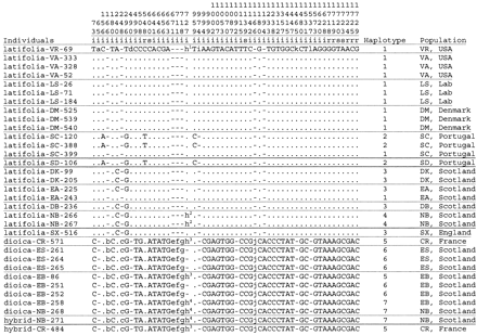 Fig. 1.—Polymorphic sites in the SlY1 region studied. Sequences are referred to by the species names, followed by the population abbreviation (see table 1 ) and the number of the individual plant. The types of sites are indicated by letters (i = intron; s = synonymous; r = replacement). Dots indicate nucleotides or indel sequences identical to the first sequence. The S. latifolia SlY1 sequences fall into four haplotypes, shown at the right-hand side of the figure. Indels: a = AC; b = CTG; c = AA; d = AT; e = 37 bp; f = CCC; g = CTG; h1 = 186 bp; h2 = 161 bp; h3 = 44 bp; h4 = 43 bp