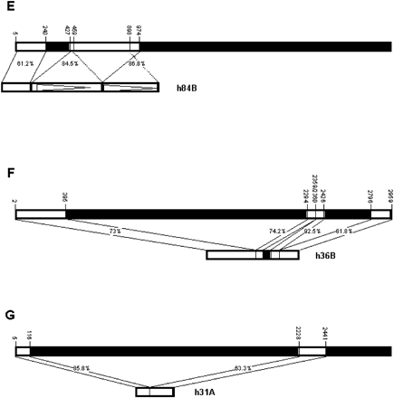 Fig. 2 (Continued)
