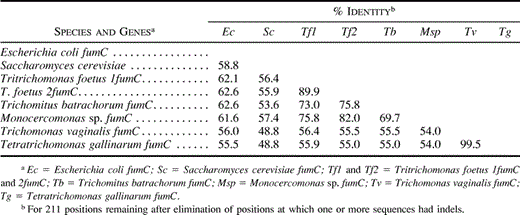 Table 2 Positional Amino Acid Identities (see fig. 1 for alignment) for Trichomonad Fumarase Genes