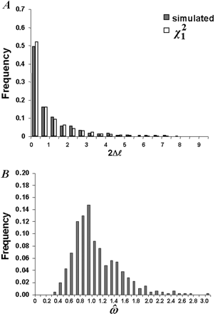 Fig. 3.—Accuracy of the asymptotic theory for the likelihood ratio test of H0: ω = 1 against H1: ω ≠ 1. One ω ratio (model M0) is assumed for all sites in both H0 and H1. Five hundred data sets were simulated using parameters taken from experiment A of table 2 , except that ω = 1. The six-taxon tree of figure 1A and the codon frequencies from the vertebrate β-globin gene were used. The tree length is S = 1.1 substitutions per codon along the tree. The sequence length is N = 50 codons. A, Comparison of χ21 with the simulated distribution of 2Δℓ. The two distributions are not significantly different from each other. B, The distribution of maximum-likelihood estimates of ω under H1