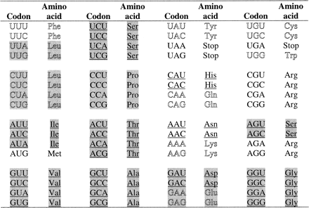 Fig. 4.—Early or late addition to the genetic code versus presence in the prebiotic environment. Amino acids and their corresponding codons are coded as follows: underlined = early; outline = late; normal = undetermined; and gray highlight = most abundant prebiotic. Assignment of amino acids as early, late, or undetermined is based on this work. Assignment of amino acids as most abundant prebiotic is based on Miller (1987)