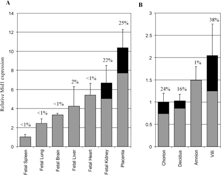 Fig. 2.—Comparison of overall Mid1 and chimeric Mid1 expression levels. The relative abundance of Mid1 chimeric transcripts compared with overall Mid1 mRNA as measured by real-time PCR is shown. Total cDNAs from various human tissues were subjected to PCR using different sets of primers to detect either all Mid1 transcripts, chimeric Mid1, or GAPDH mRNA. Total Mid1 levels relative to GAPDH are depicted by bars. The black portion represents the percentage (written above the bars) of overall Mid1 mRNAs that possess retroviral first exons. The relative abundance of Mid1 isoforms in fetal tissues and placenta is illustrated in panel A, and the levels in placental sections are shown in panel B