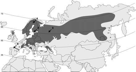 Fig. 1.—The distribution of P. sylvestris natural populations has been marked in gray. The numbers indicate the locations sampled in this study: 1, Kolari (Finland); 2, Bromarv (Finland); 3, Kirov (Russia); 4, Puebla de Lillo (Spain)