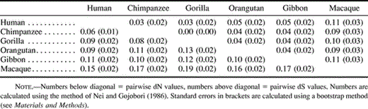 Table 1 Proportion of Nonsynonymous Differences per Nonsynonymous Site (dN) and Synonymous Differences per Synonymous Site (dS) in Exons 2–6 of the gypa Gene Between Pairs of Primate Species