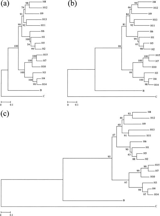 Fig. 2.—Phylogenetic trees for 17 randomly chosen amino acid sequences (see table 1 ) of the HA2 (HE2) region of influenza A, B, and C virus HAs (HEs). Trees (a), (b), and (c) were obtained by using p, PC, and gamma distances, respectively. The bootstrap value is indicated for each interior branch. The scale bars indicate the numbers of amino acid substitutions per site